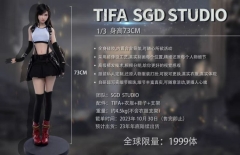 【Only For Preorder】- SGD Studio 1/3 Tifa SGD001 Middle Chest + Channel Version