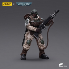 JoyToy JT7929 1/18 Warhammer 40,000 Astra Militarum Cadian Command Squad Veteran with Regimental Standard