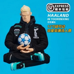 Preorder - TooRenXing Willful Harland Kit