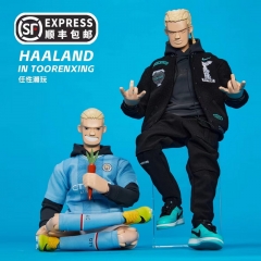 Preorder - TooRenXing Willful Harland Kit