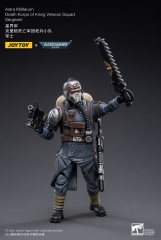 【2024-11-30】Preorder - JoyToy JT2641 1/18 Death Korps of Krieg Veteran Squad Sergeant Reissue Version