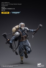 【2024-11-30】Preorder - JoyToy JT2665 1/18 Death Korps of Krieg Veteran Squad Guardsman Reissue Version