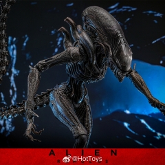 【2024-12-17】Preorder - HOTTOYS HT MMS784 1/6 Alien: Covenant Alien ALIEN